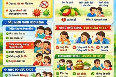 Chia sẻ các biện pháp ngăn ngừa dịch bệnh do vi rút Nipah